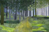 Image of Dartmoor Walk