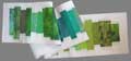 Forty shades of green