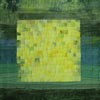 Image of Colour study: Oilseed rape